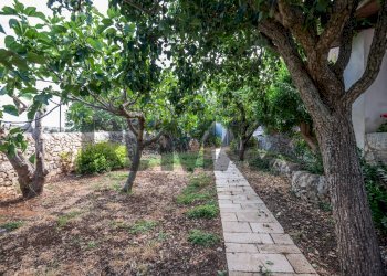 Giardino - Villa CONTRADA TRESAURO
 
SN, Ragusa - foto 27