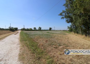 Foto 9 - Agricultural land Strada Comunale Della Rotina, Pontedera - photo 9