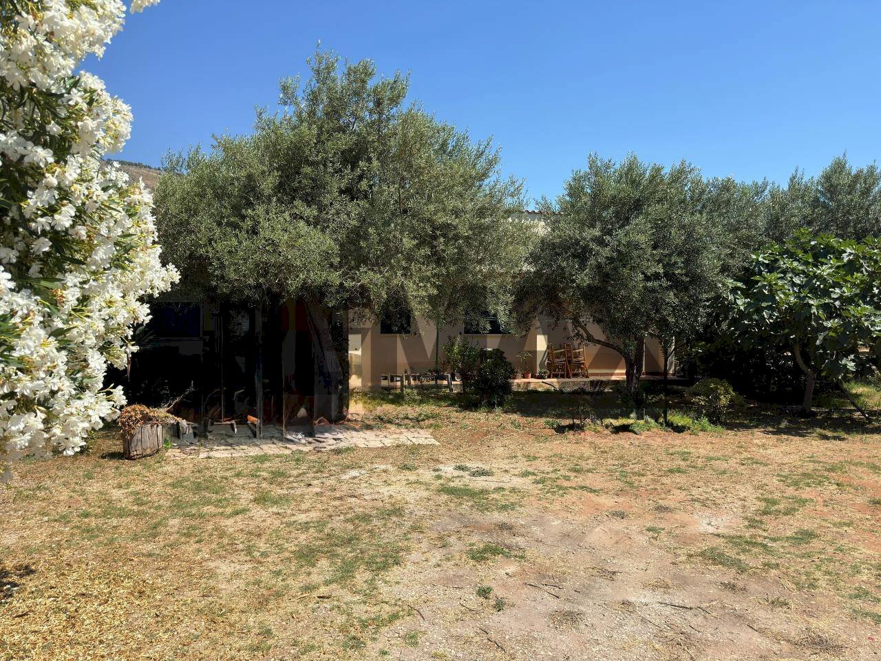 Giardino - Villa Contrada Agli Androni
snc, Terrasini - photo 3