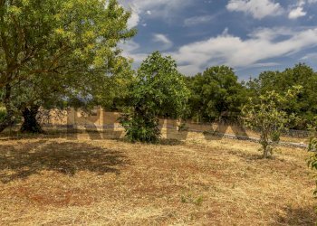 Giardino - Baita Contrada Pentimi Vetrana
 
snc, Martina Franca - foto 27