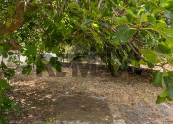 Giardino - Baita Contrada Pentimi Vetrana
 
snc, Martina Franca - foto 31