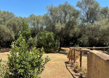 Giardino - Casa semi indipendente loc Acquamaris
snc, Teulada - foto 48