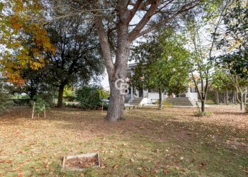 Foto 12 - Villa Strada Teverina, Viterbo - photo 12