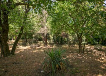 Giardino - Apartment Via San Biagio
 
29, Pisa - photo 29