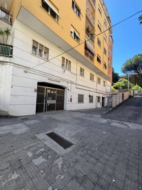 Zona - Negozio via Latina, 39, Roma - foto 3