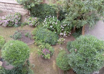 affaccio su giardino - Three-room apartment via Bagetti, 25, Torino (neighborhood Cit Turin) - photo 23