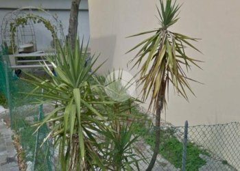 Building land Via Giovanni Bernardini, Rimini - photo 6