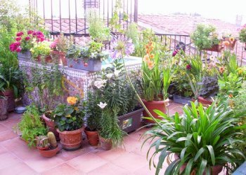 bed-and-breackfast-bagno-a-ripoli - Loft Via della Martellina 40/E, Firenze - photo 4