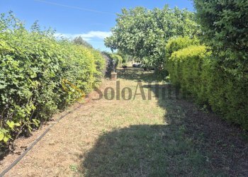 20260615_110828 - Apartment Via B. Profeta, Cepagatti - photo 29