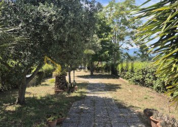 20260615_113436 - Apartment Via B. Profeta, Cepagatti - photo 30