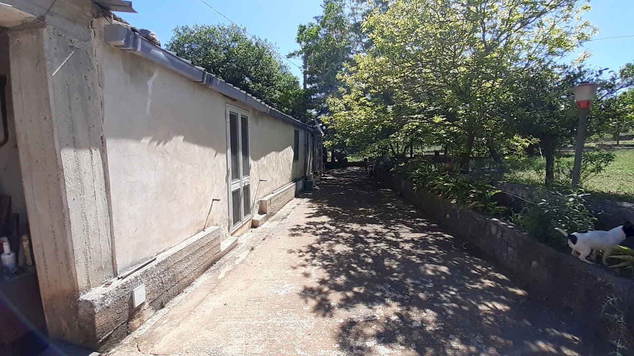 20250527_101259.jpg - Rustico Strada Provinciale 24 21, Noto - foto 3