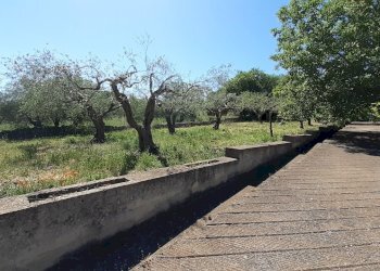 20250527_101419.jpg - Rustico Strada Provinciale 24 21, Noto - foto 21