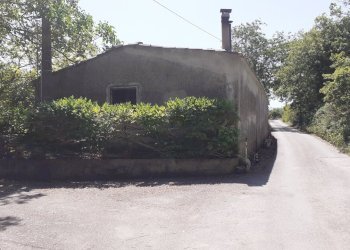 20250605_143851.jpg - Rustico Strada Provinciale 24 21, Noto - foto 30