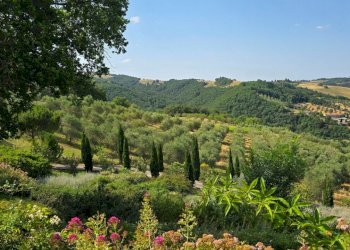 CYPRESS ROAD.jpg - Casale Allerona - photo 5
