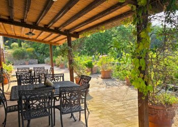 PERGOLA 1.jpg - Casale Allerona - photo 11