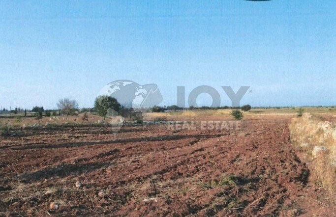 Immagine 2025-12-19 184348.jpg - Agricultural land Via del Codibugnolo, Lecce - photo 2
