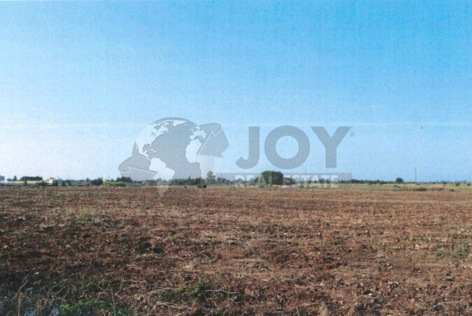 Immagine 2025-12-19 184410.jpg - Agricultural land Via del Codibugnolo, Lecce - photo 3