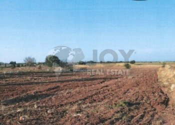 Immagine 2025-12-19 184348.jpg - Agricultural land Via del Codibugnolo, Lecce - photo 2