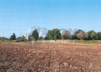 Immagine 2025-12-19 184821.jpg - Agricultural land Via del Codibugnolo, Lecce - photo 5