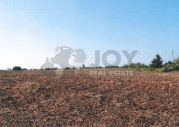 Immagine 2025-12-19 184840.jpg - Agricultural land Via del Codibugnolo, Lecce - photo 6