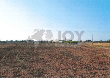Immagine 2025-12-19 184927.jpg - Agricultural land Via del Codibugnolo, Lecce - photo 8