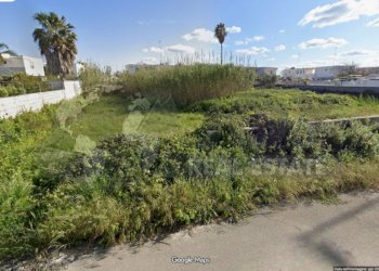 WhatsApp Image 2025-12-05 at 11.29.35.jpeg - Agricultural land Via Sorrento 2, Lecce - photo 1