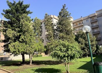 31121cf1-002b-4187-ab7f-ed968fb375dc - Appartamento Viale Scala Greca, Siracusa - foto 7