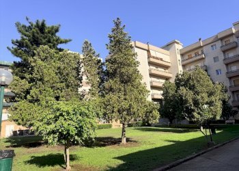 76060911-06a1-4f51-962b-bcc6d435d5c2 - Appartamento Viale Scala Greca, Siracusa - foto 10