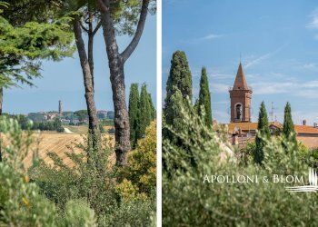 Villa Bifamiliare delle Vigne, 10, Castiglione del Lago - foto 24