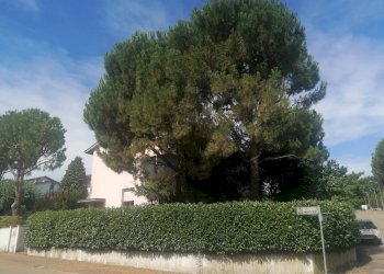 Villa VIA AMENDOLA, Castel San Pietro Terme - photo 2
