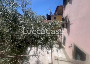 Small Villa Lucca (neighborhood Santa Maria del Giudice) - photo 6