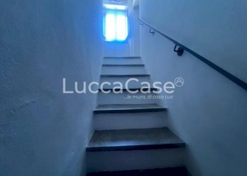 Small Villa Lucca (neighborhood Santa Maria del Giudice) - photo 8