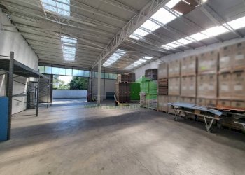 Shed vicolo Guglielmo Marconi, Inzago - photo 5
