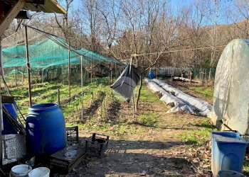 Terreno agricolo Seminativo Via Avigliana, La Cassa - foto 4