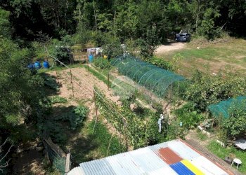 Terreno agricolo Seminativo Via Avigliana, La Cassa - foto 5