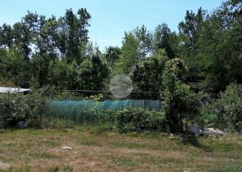 Terreno agricolo Seminativo Via Avigliana, La Cassa - foto 7