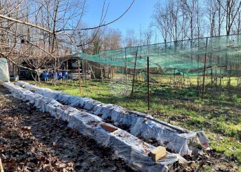 Terreno agricolo Seminativo Via Avigliana, La Cassa - foto 11