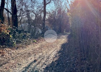 Terreno agricolo Seminativo Via Avigliana, La Cassa - foto 17