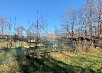Terreno agricolo Seminativo Via Avigliana, La Cassa - foto 16
