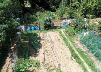 Terreno agricolo Seminativo Via Avigliana, La Cassa - foto 18