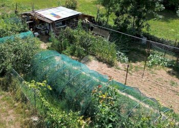 Terreno agricolo Seminativo Via Avigliana, La Cassa - foto 19