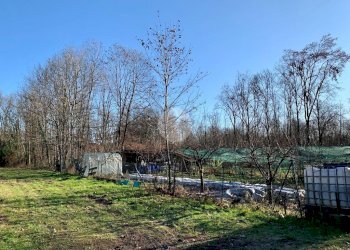 Terreno agricolo Seminativo Via Avigliana, La Cassa - foto 24