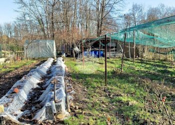 Terreno agricolo Seminativo Via Avigliana, La Cassa - foto 26