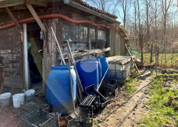 Terreno agricolo Seminativo Via Avigliana, La Cassa - foto 27