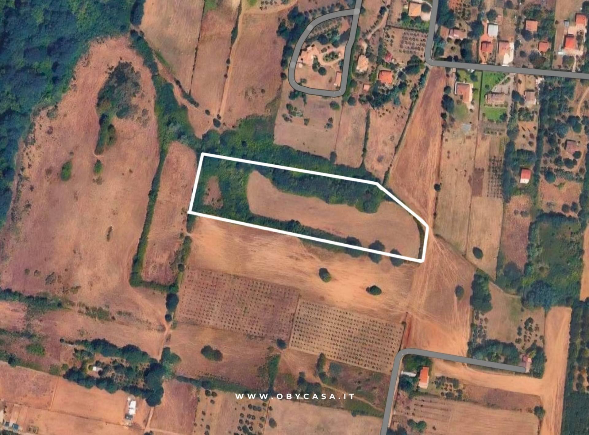 Foto 1 - Terreno agricolo oriolo romano, Oriolo Romano - foto 1