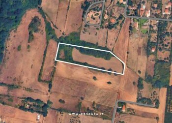 Foto 1 - Terreno agricolo oriolo romano, Oriolo Romano - foto 1