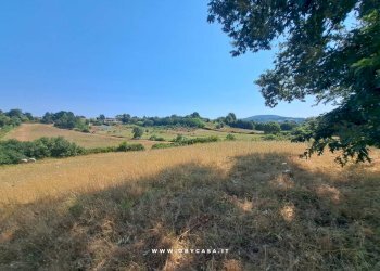 Foto 3 - Terreno agricolo oriolo romano, Oriolo Romano - foto 3