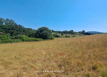 Foto 5 - Terreno agricolo oriolo romano, Oriolo Romano - foto 5