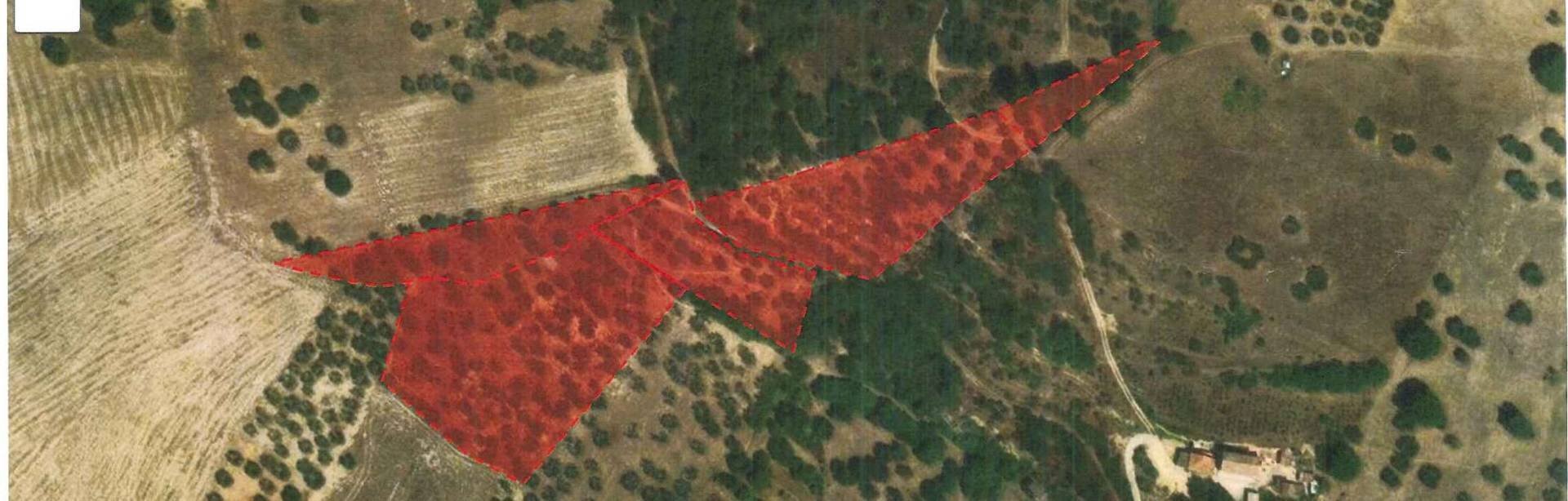 Foto 2 - Terreno agricolo contrada san liberatore, Ariano Irpino - foto 2