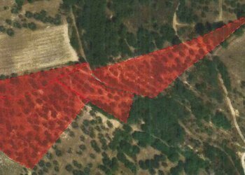 Foto 2 - Terreno agricolo contrada san liberatore, Ariano Irpino - foto 2